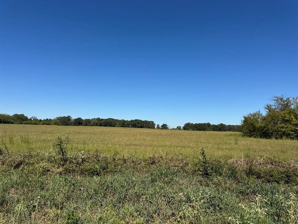 Lot 9 County Road 2922, Eustace, TX 75124 Lot 9