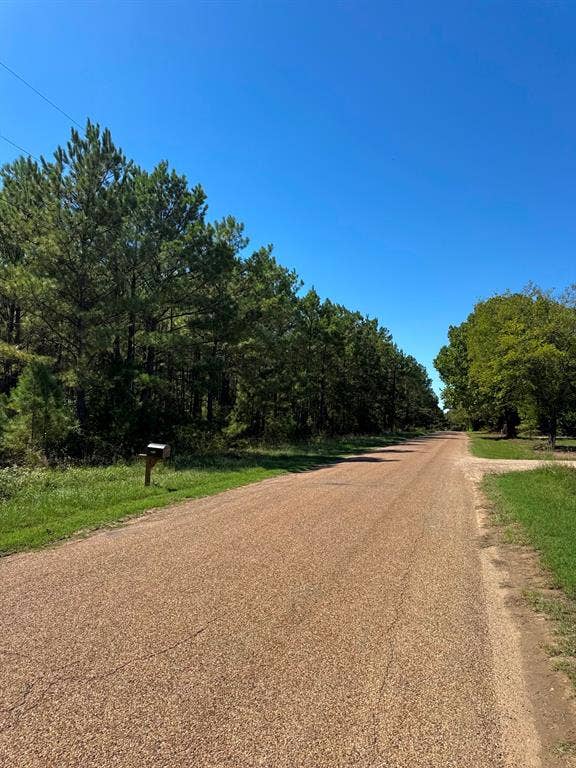 Lot 10 County Road 2922, Eustace, TX 75124 View of County Road