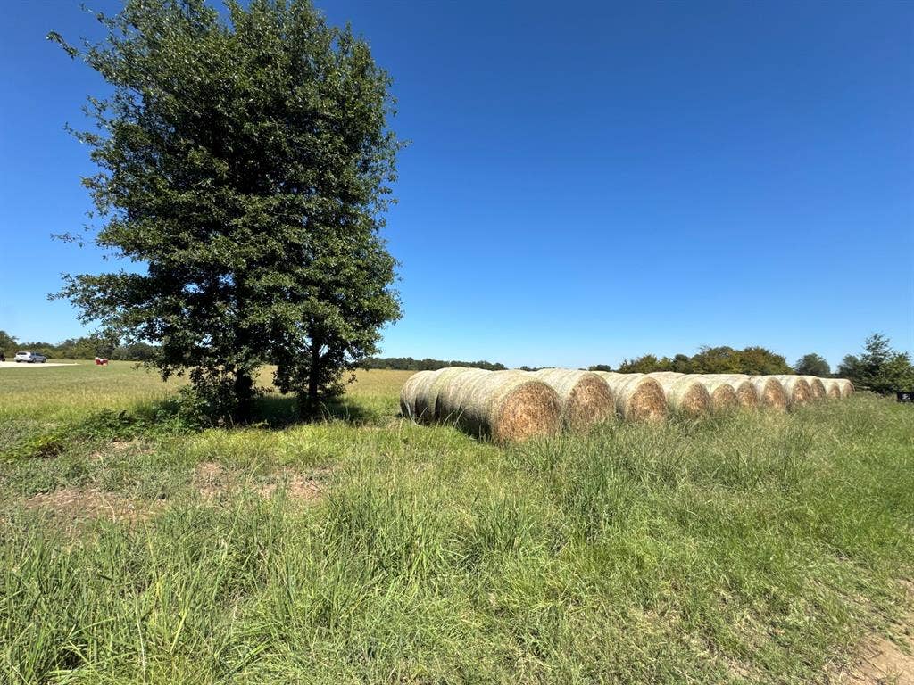 Lot 10 County Road 2922, Eustace, TX 75124 Lot 10