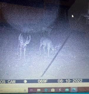 748 CR 350, Dublin, TX 76446