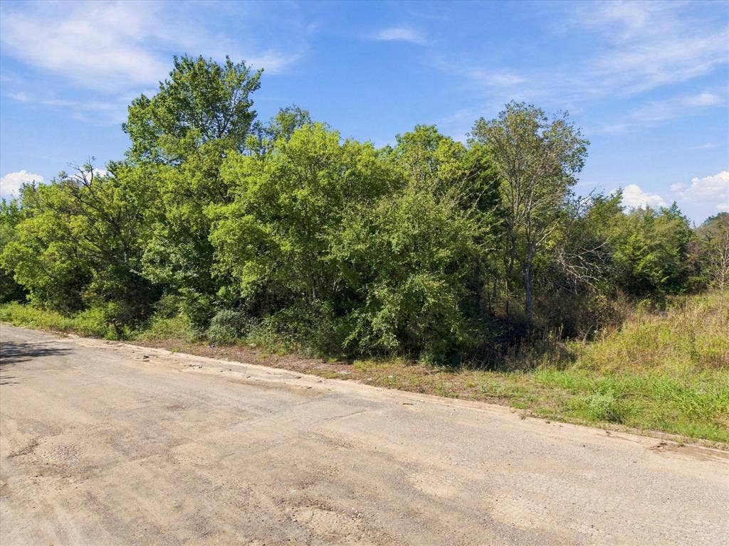 TBD N Neal Street, Commerce, TX 75428 Mature trees overlook this stunning almost 8 acres