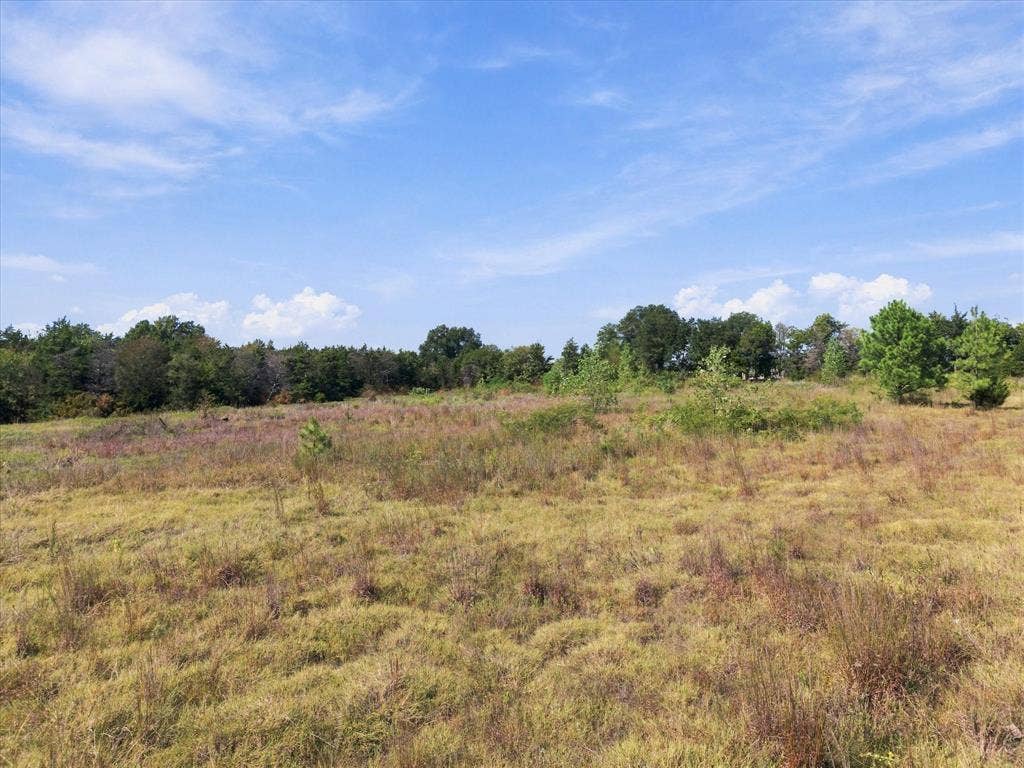 TBD N Neal Street, Commerce, TX 75428 Great spot for your next project!