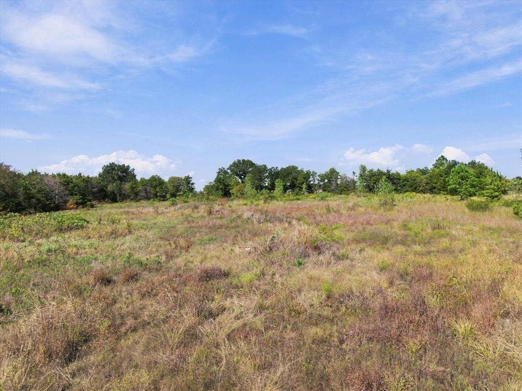 TBD N Neal Street, Commerce, TX 75428 Gorgeous tree lined acreage provides privacy for your acreage