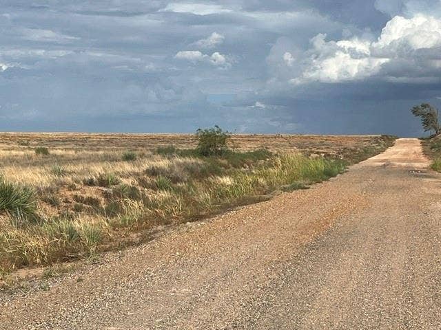 Property photo for TBD County Rd 412, Roby, TX