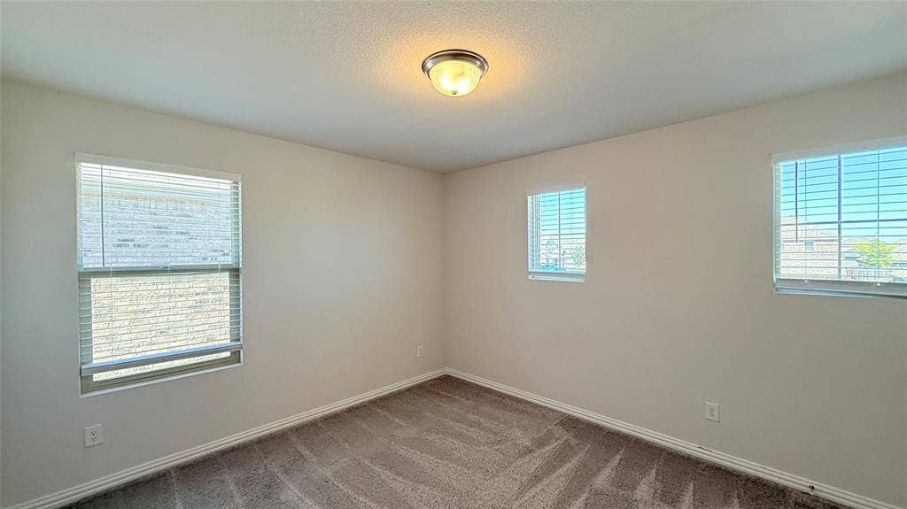 531 Deer Canyon Way, Princeton, TX 75407 Neutral wall paint, carpet flooring, multiple windows, and a flush mount ceiling light
