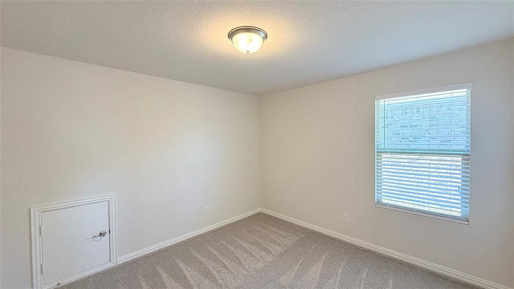 531 Deer Canyon Way, Princeton, TX 75407 Neutral wall paint, ceiling-mounted light fixture, window with blinds, and patterned carpeting
