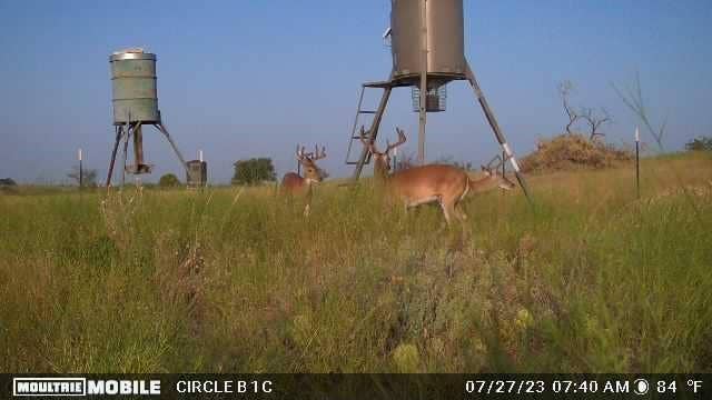 TBD Comanche Hills Drive, Comanche, TX 76442 TBD Comanche Hills Drive, Comanche, TX 76442