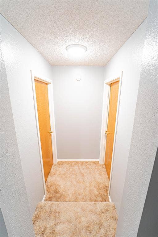 Carpeted hallway with two paneled doors and ceiling-mounted lighting