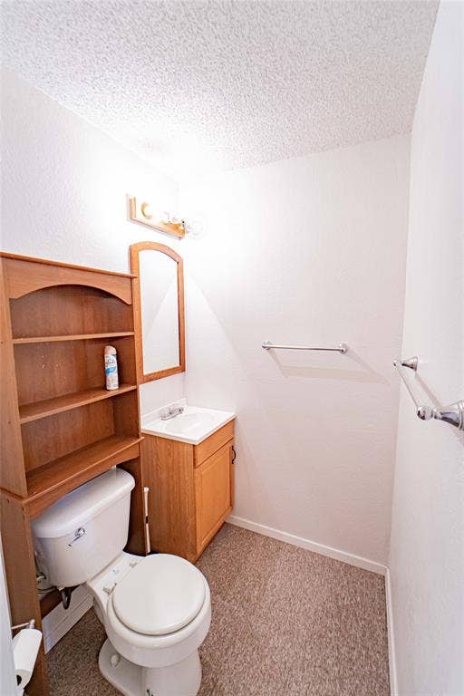 Functional bathroom with a white toilet, integrated vanity sink, wood-finish cabinetry, and neutral carpeting