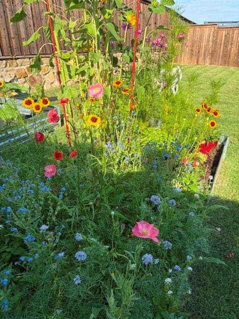 5719 Huffines Boulevard, Royse City, TX 75189 Raised garden bed featuring diverse flowering plants and lush greenery