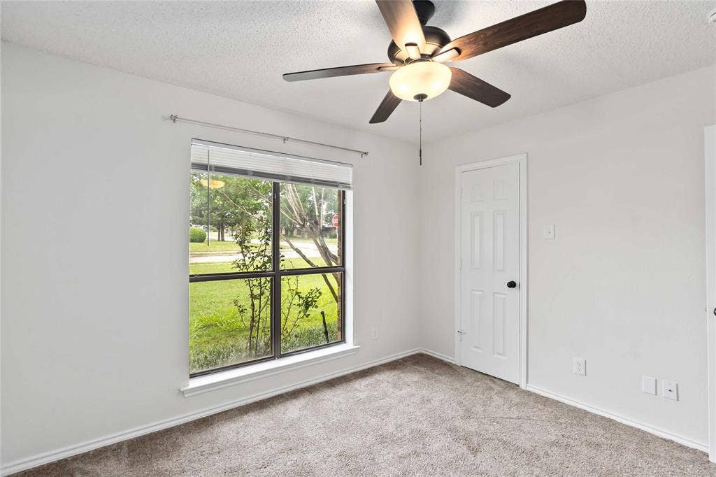Neutral wall paint with textured carpet flooring, complemented by a ceiling fan with light fixture