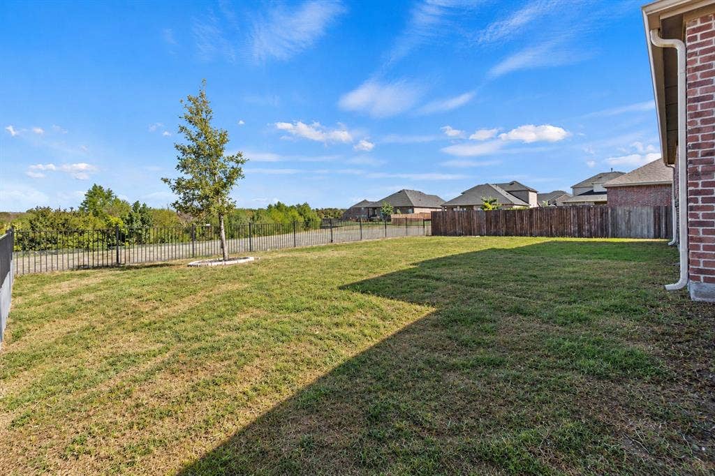 1536 Estivella Drive, Little Elm, TX 75068 Expansive backyard featuring a mature tree, wood privacy fencing, and a brick exterior