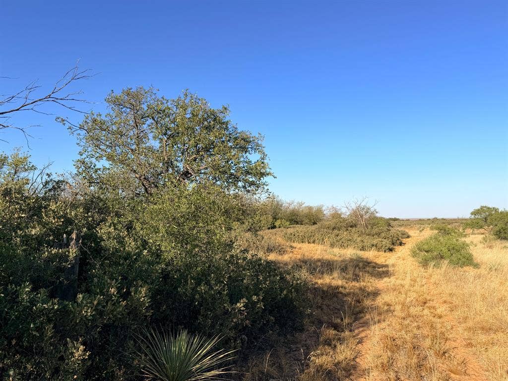 TBD County Road 117, Paducah, TX 79248