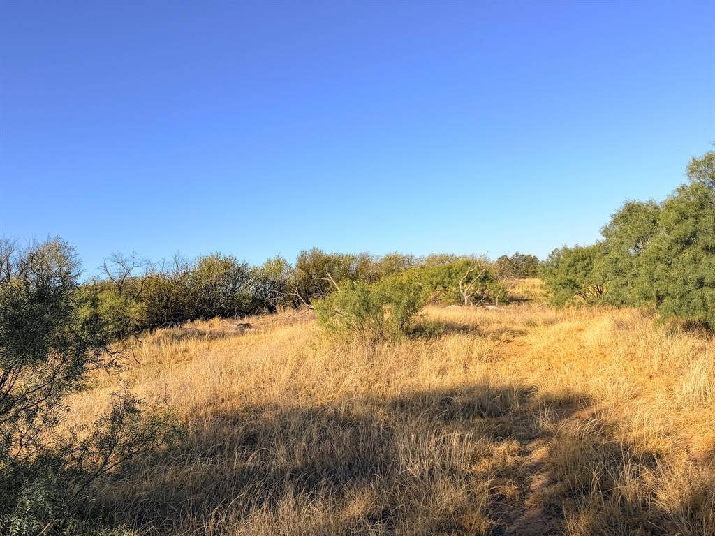 TBD County Road 117, Paducah, TX 79248