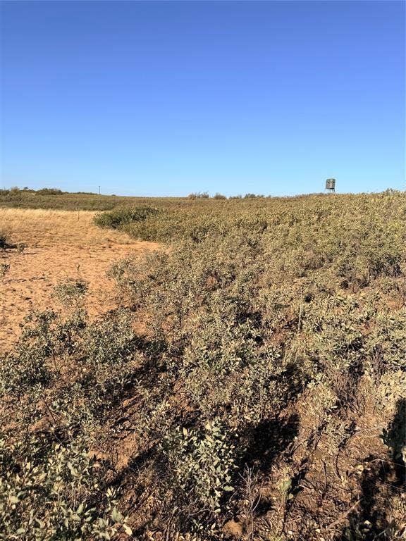 TBD County Road 117, Paducah, TX 79248
