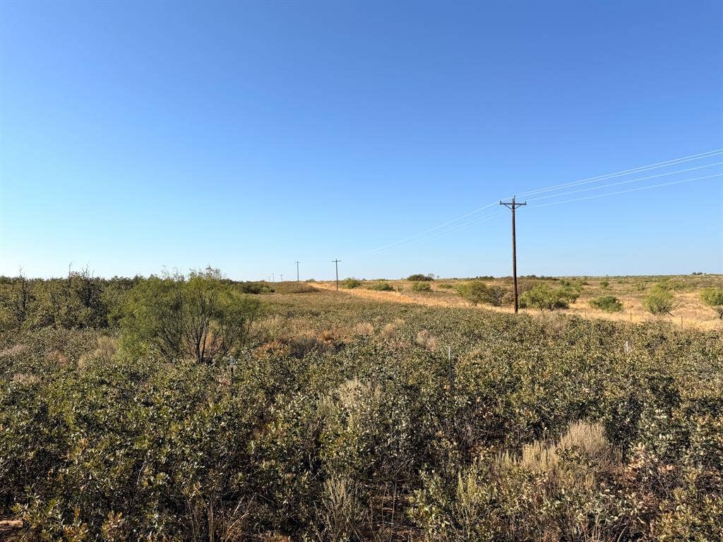 Power along west fence line