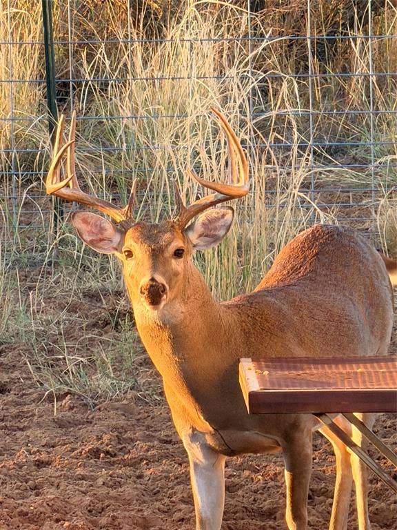 TBD County Road 117, Paducah, TX 79248