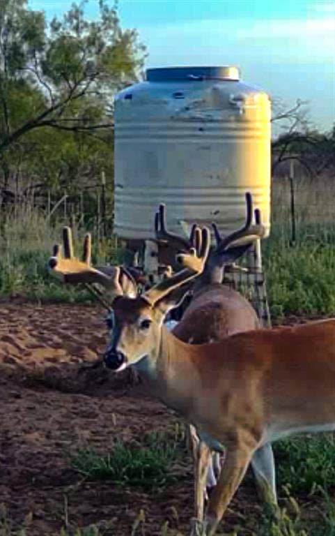 TBD County Road 117, Paducah, TX 79248