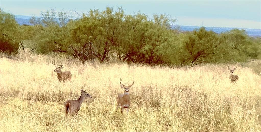 Wildlife Sanctuary