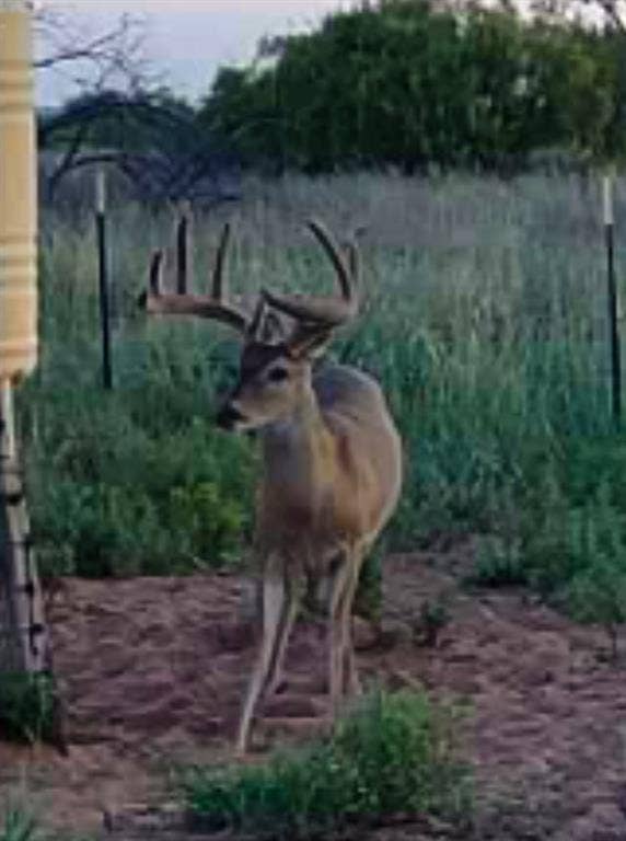 TBD County Road 117, Paducah, TX 79248