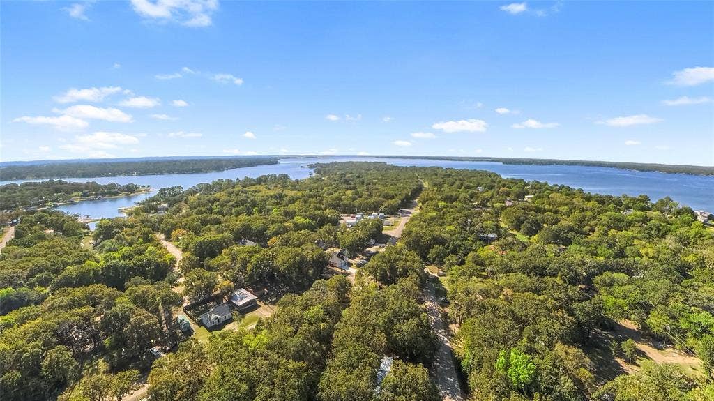 7520 Double Bridge Road, Mabank, TX 75156 Expansive water frontage with mature tree canopy and scattered residential structures