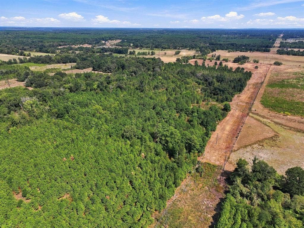 40.54acres TBD County Road 2314, Pittsburg, TX 75686
