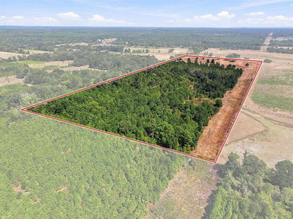 40.54acres TBD County Road 2314, Pittsburg, TX 75686
