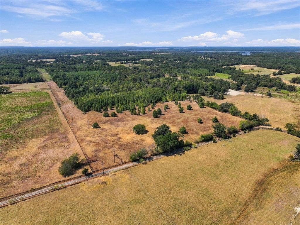 40.54acres TBD County Road 2314, Pittsburg, TX 75686