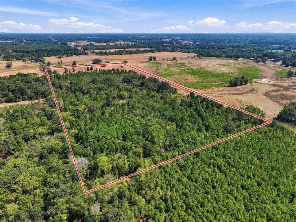 40.54acres TBD County Road 2314, Pittsburg, TX 75686