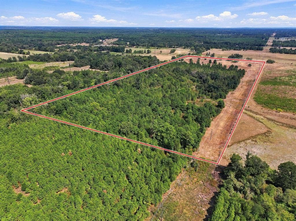 40.54acres TBD County Road 2314, Pittsburg, TX 75686