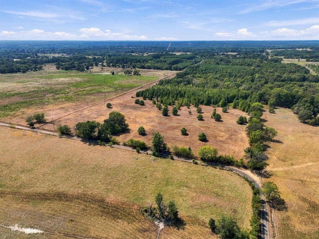 40.54acres TBD County Road 2314, Pittsburg, TX 75686