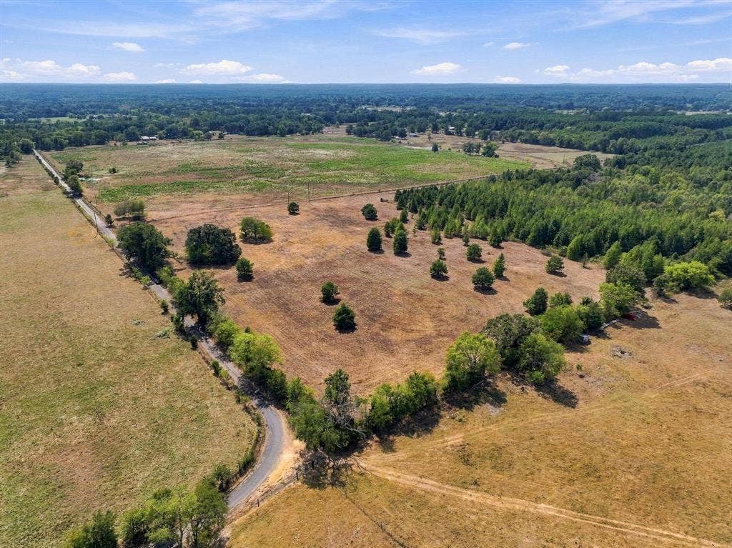 40.54acres TBD County Road 2314, Pittsburg, TX 75686