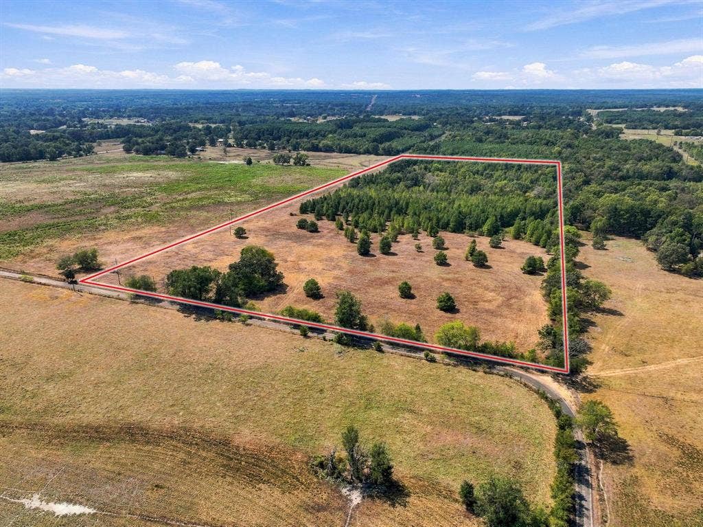 40.54acres TBD County Road 2314, Pittsburg, TX 75686