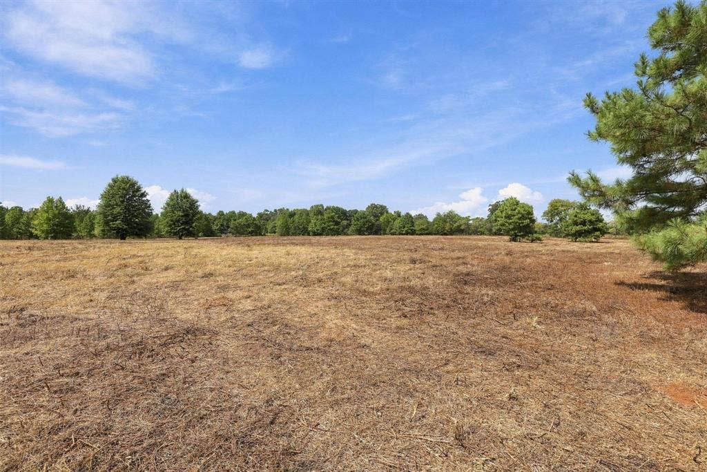 40.54acres TBD County Road 2314, Pittsburg, TX 75686