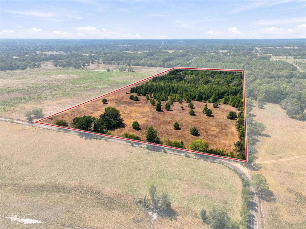 40.54acres TBD County Road 2314, Pittsburg, TX 75686