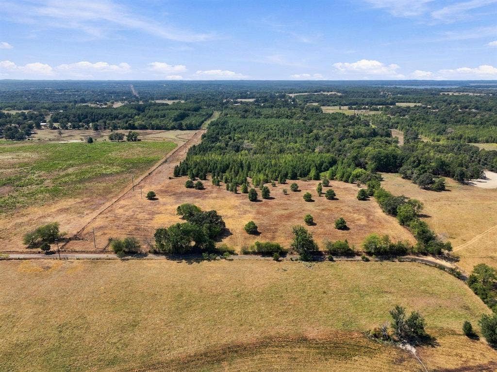 40.54acres TBD County Road 2314, Pittsburg, TX 75686