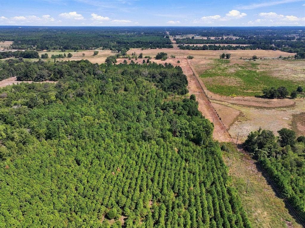 40.54acres TBD County Road 2314, Pittsburg, TX 75686