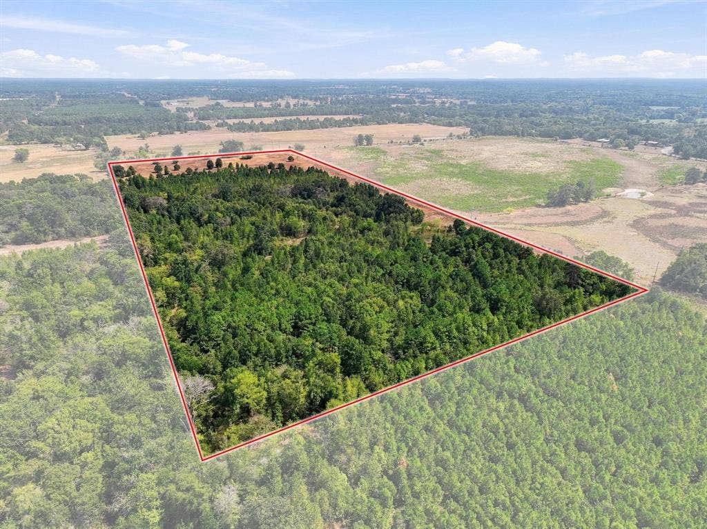 40.54acres TBD County Road 2314, Pittsburg, TX 75686