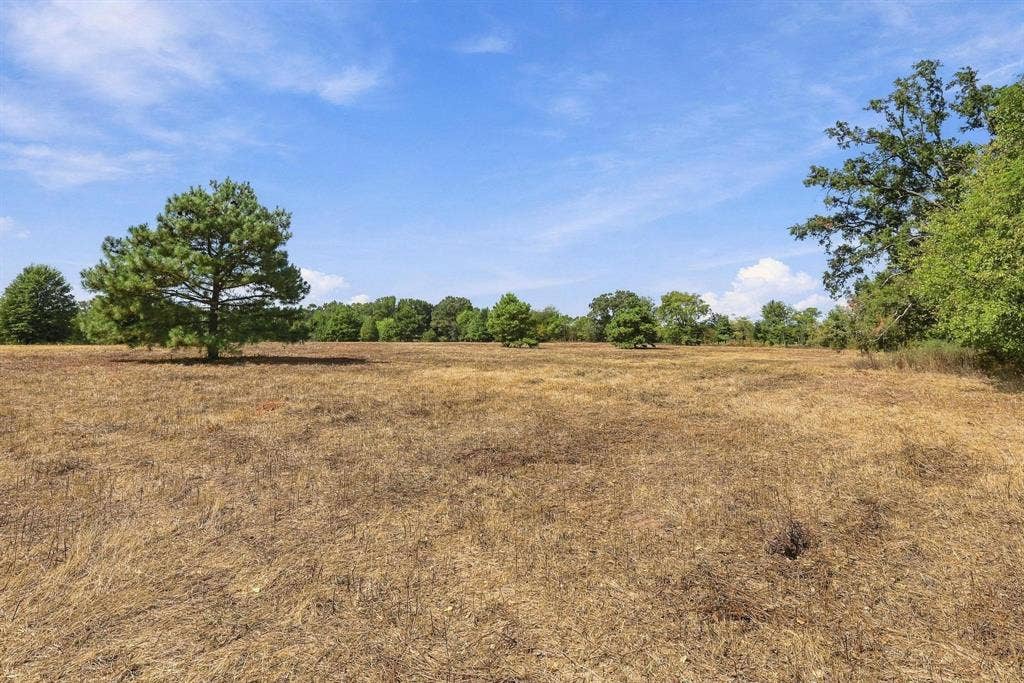 40.54acres TBD County Road 2314, Pittsburg, TX 75686