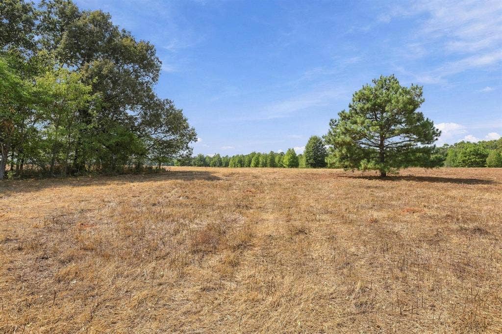 40.54acres TBD County Road 2314, Pittsburg, TX 75686