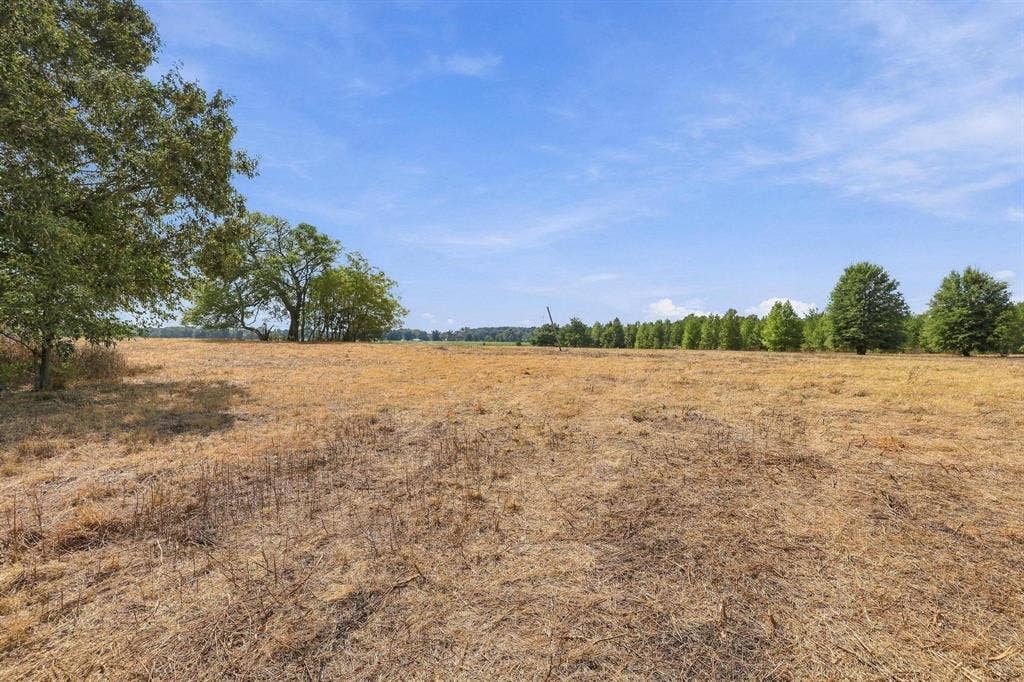 40.54acres TBD County Road 2314, Pittsburg, TX 75686