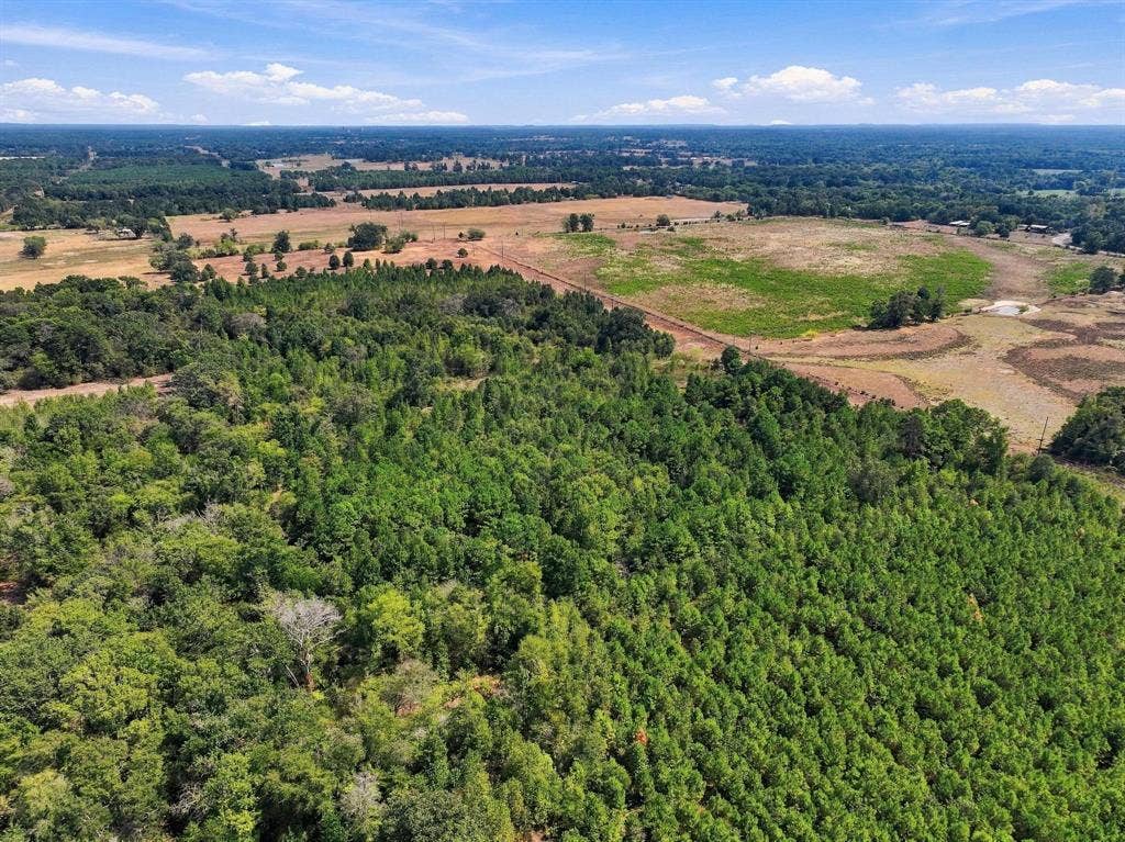 40.54acres TBD County Road 2314, Pittsburg, TX 75686