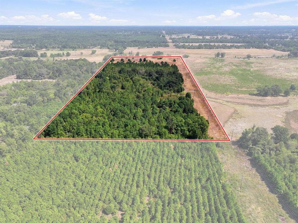40.54acres TBD County Road 2314, Pittsburg, TX 75686