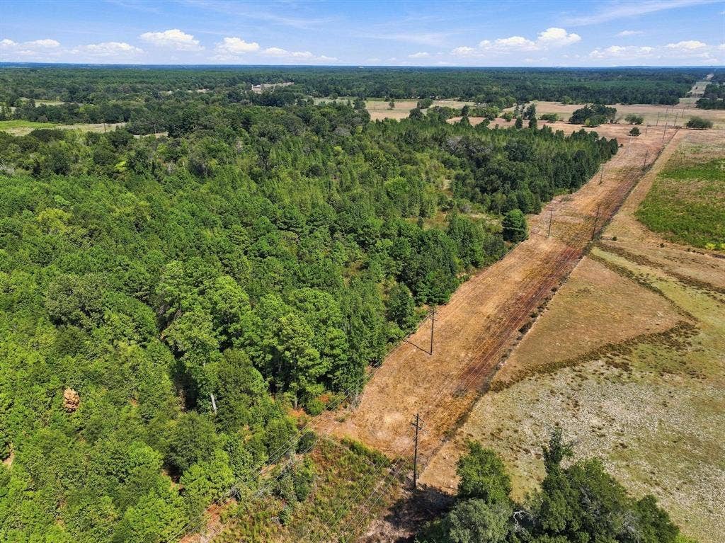 40.54acres TBD County Road 2314, Pittsburg, TX 75686
