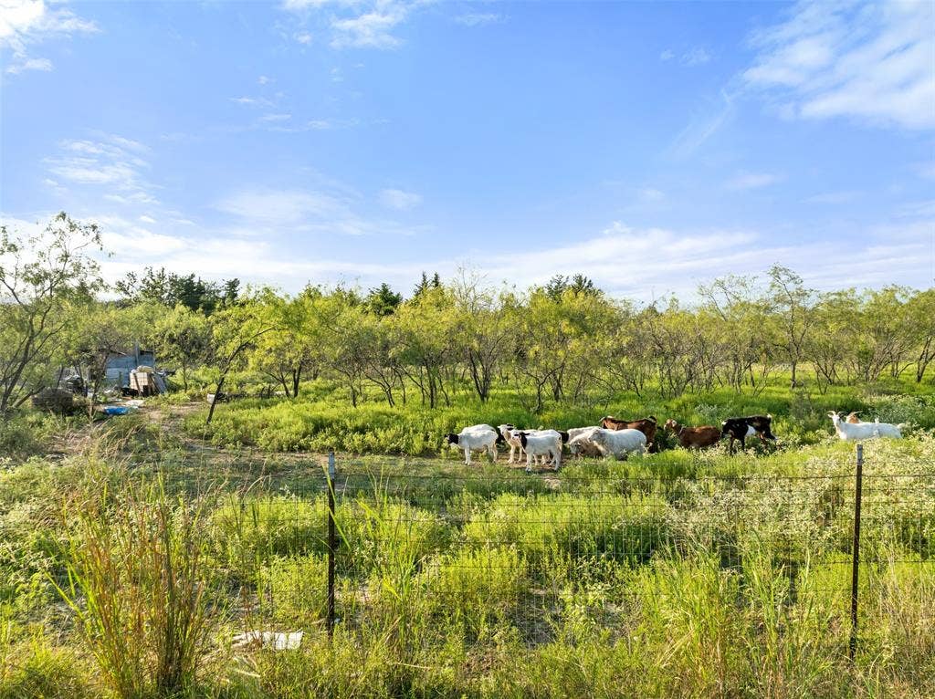 TBA I-30 Frontage Road, Caddo Mills, TX 75135 TBA I-30 Frontage Road, Caddo Mills, TX 75135