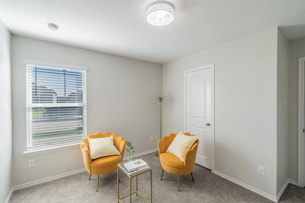 1842 Shady Elm Drive, Lancaster, TX 75146 Recessed window with blinds, paneled interior door, ceiling-mounted light fixture, and textured carpeting