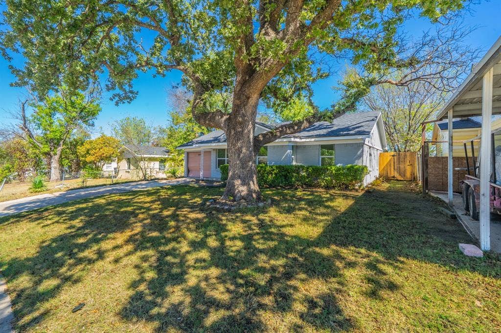 Expansive front lawn featuring a mature tree, concrete driveway, and established shrubbery