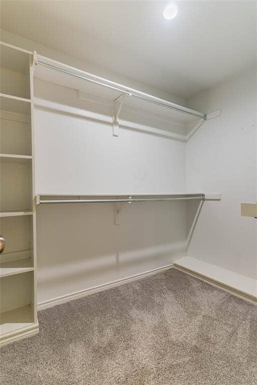 Built-in shelving, dual clothing rods, recessed lighting, and carpet flooring