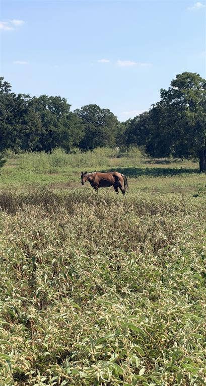 Property photo for 5908 County Road 608, Burleson, TX