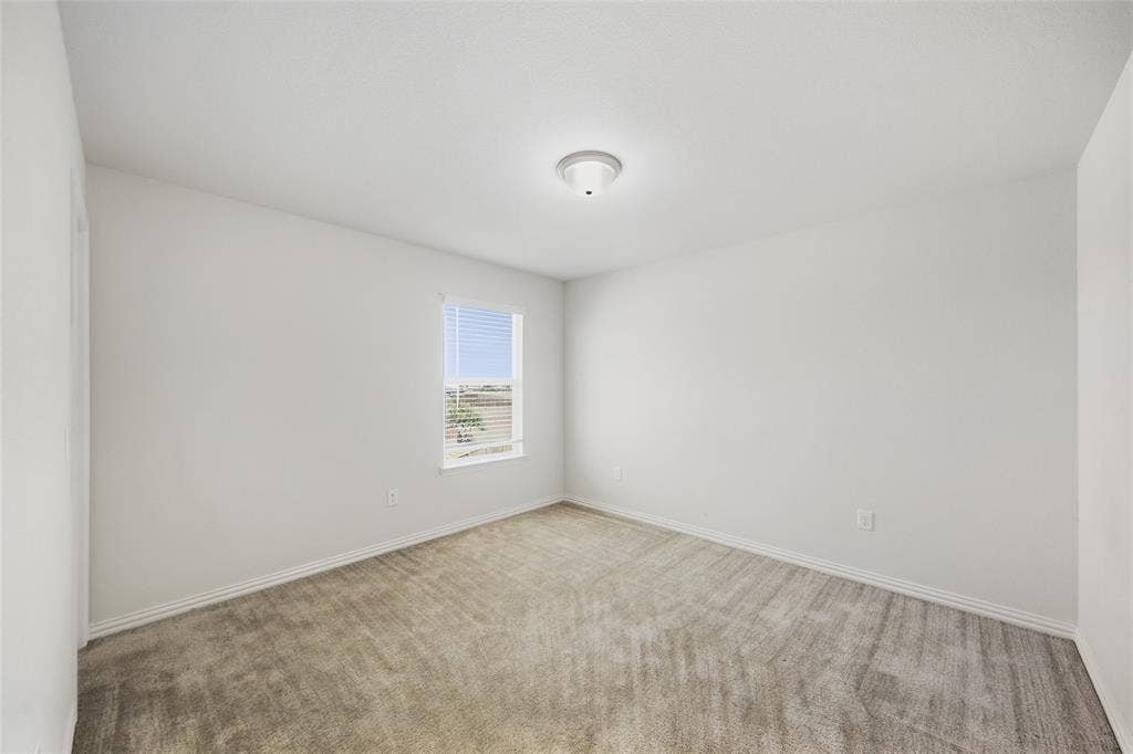 1805 Nelson Street, Anna, TX 75409 Carpeted flooring, white walls, window with blinds, overhead lighting fixture